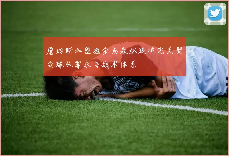 詹姆斯加盟掘金或森林狼将完美契合球队需求与战术体系